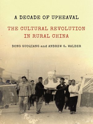 cover image of A Decade of Upheaval